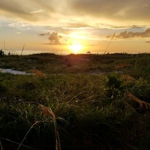 Meet your Posher, Dwight